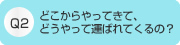 どこからやってきて、どうやって運ばれてくるの？